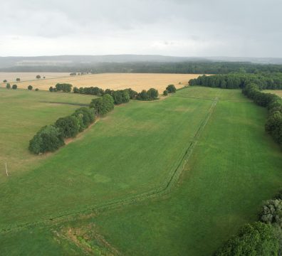 Projektfläche bei Bengersdorf - Aktuell wird eine Machbarkeitsstudie zur Wiedervernässung des Niedermoores durchgeführt