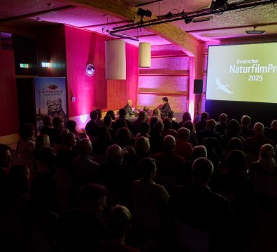 Titel_DNF25_Sa_Kullmann_IMG_4982_klein