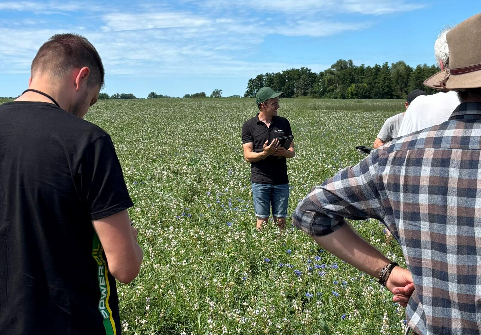 Feldbesichtigung der weißen Lupine beim SiebenSeenHof
