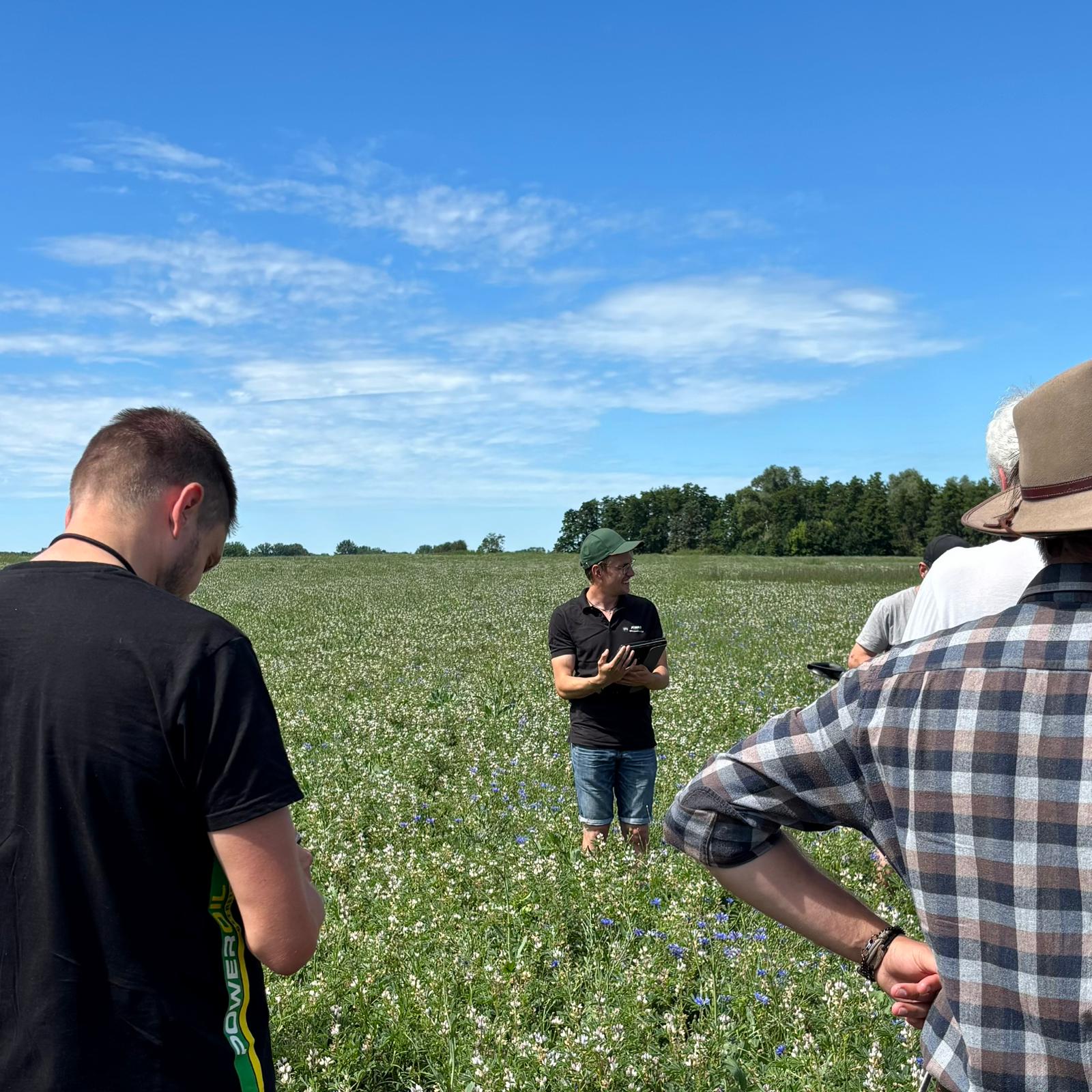 Feldbesichtigung der weißen Lupine beim SiebenSeenHof