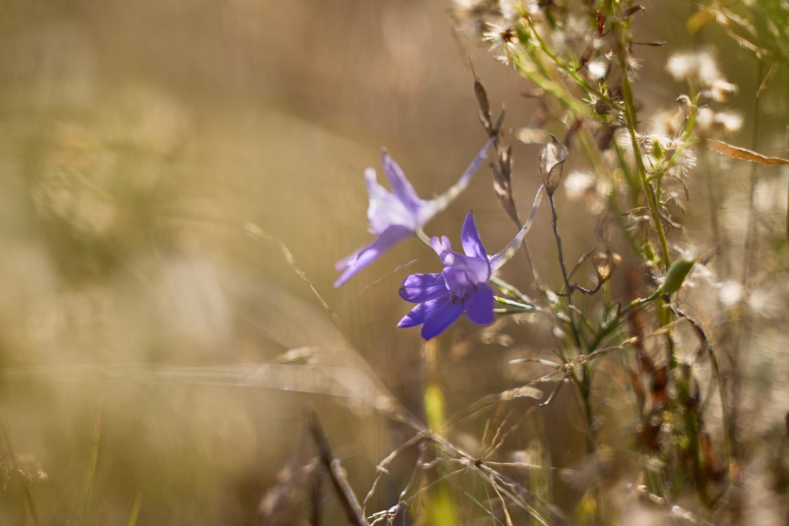 2023-09-07_FA-MV_10_Jahre_0140@3000px