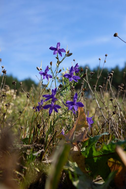 2023-09-07_FA-MV_10_Jahre_0318@3000px