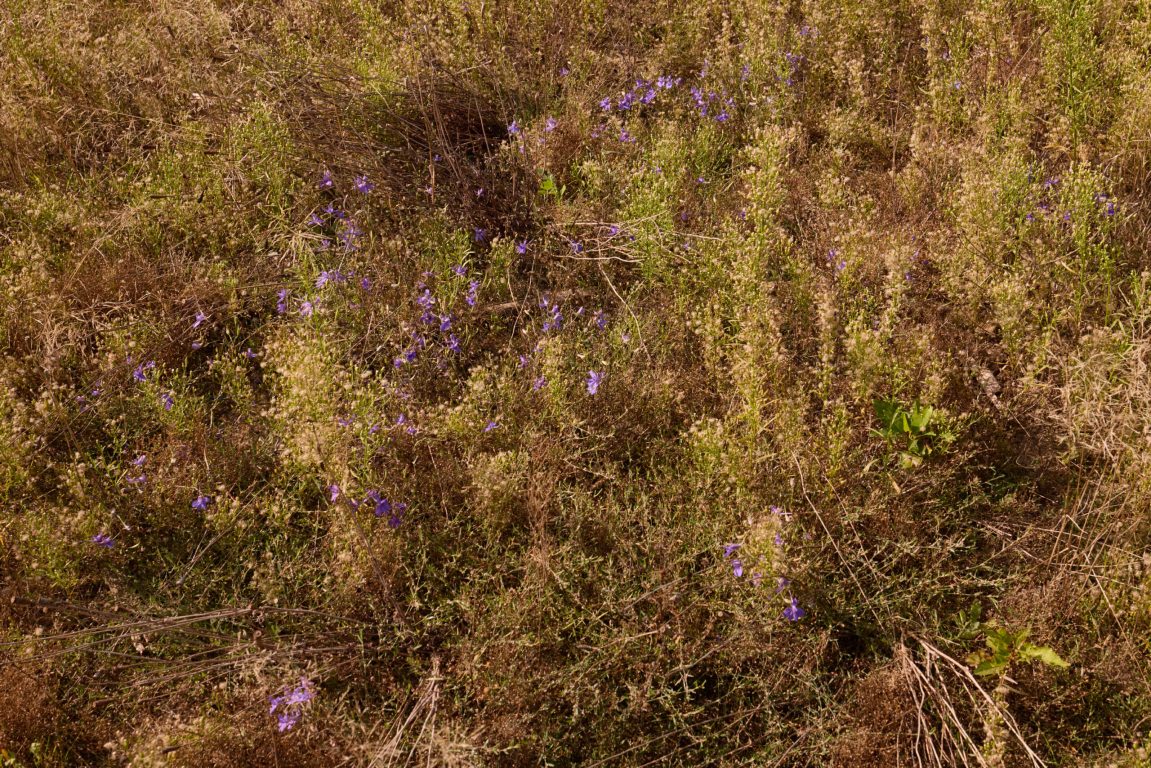 2023-09-07_FA-MV_10_Jahre_0340@3000px