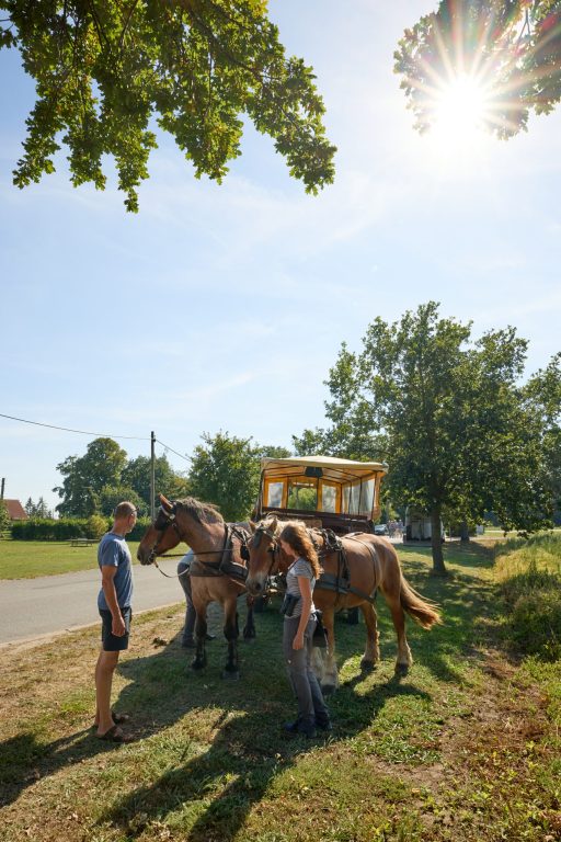 2023-09-07_FA-MV_10_Jahre_0700@3000px