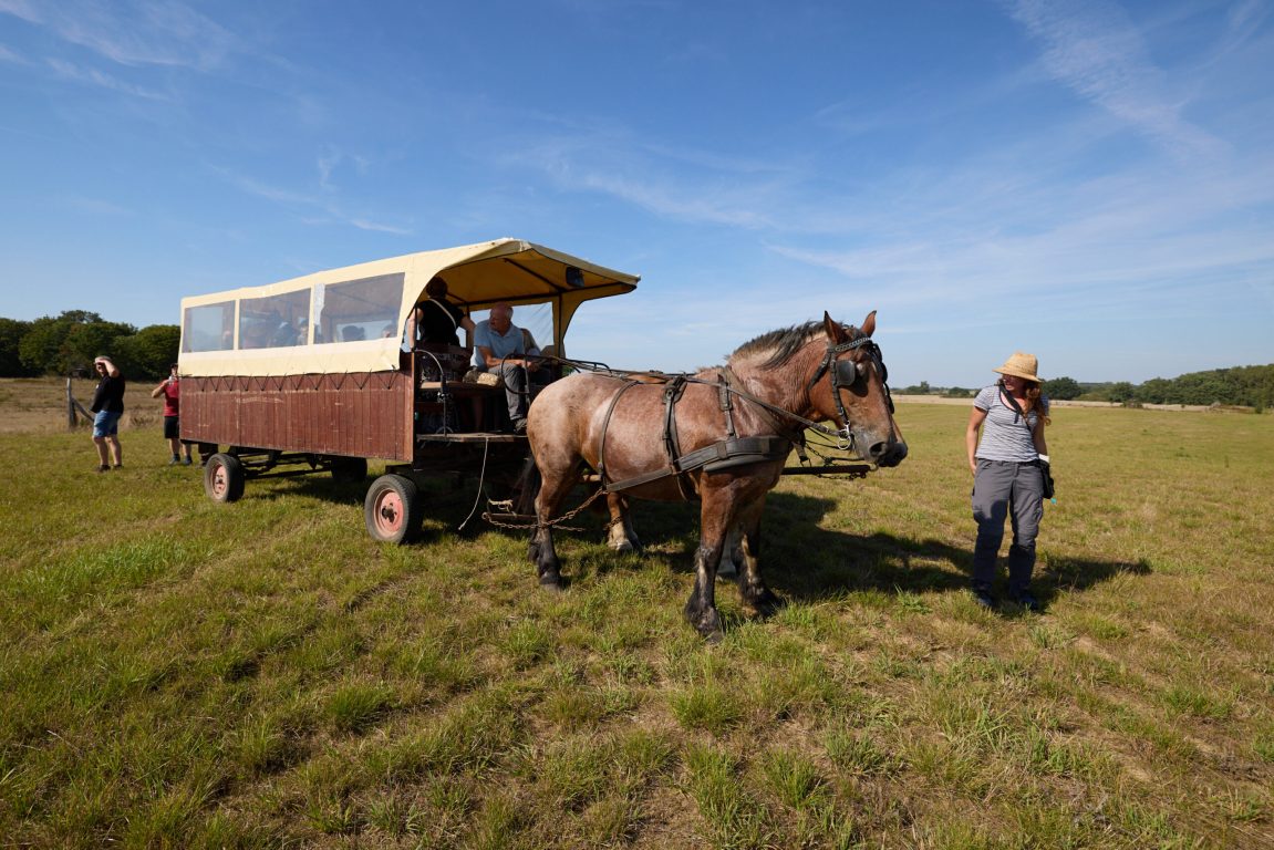 2023-09-07_FA-MV_10_Jahre_0748@3000px