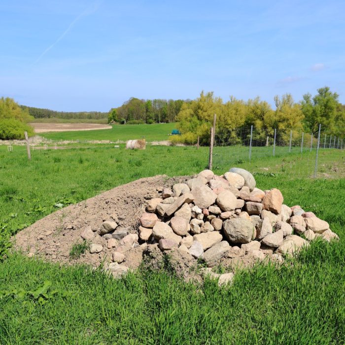 Blick über die Projektfläche in Richtung Naturschutzgebiet mit Heckenpflanzung, Reptilienhabitaten (Lesesteinhaufen im Vordergrund) und Mähwiese