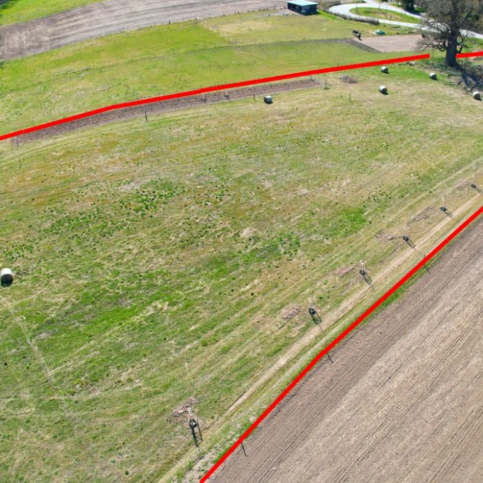 Projektfläche im Frühjahr 2025 nach der Ersteinrichtung